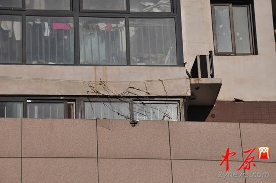 鄭州一男子從18樓跳下身亡 其妻稱“受了冤屈”