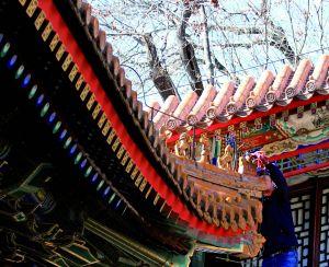 近日有市民發(fā)現(xiàn)，頤和園排云殿西北角屋脊邊緣處一尊“騎鳳仙人”缺失，此地緊鄰爬山走廊，游客伸手可觸，懷疑構(gòu)件被盜。記者昨日探訪看到，有工作人員在現(xiàn)場修復(fù)。頤和園管理處稱，缺失琉璃構(gòu)件為復(fù)制構(gòu)件，常年遭風(fēng)雨侵蝕，遇大風(fēng)墜落，被游客撿拾，原件安然存放于文物庫房。